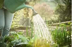 Espoma Fertilizer