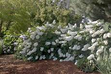 Espoma Plant Tone