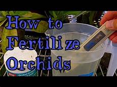 Feed Natural Fertilizer Maker