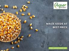 Feed Natural Fertilizer Maker