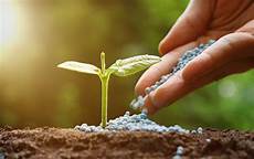 Feeding Fertilizers