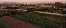 Feeding Fertilizers