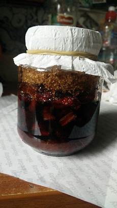 Fermented Plant Juice