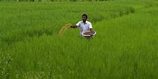 Fertilizer Business