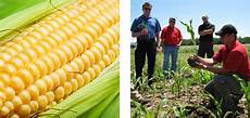 Fertilizer Business