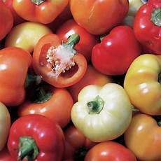 Fertilizer For Peppers