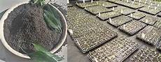 Fertilizer Materials