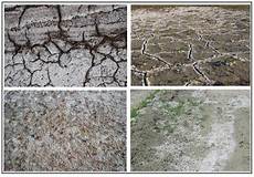 Fertilizer Soil Accumulation Machines