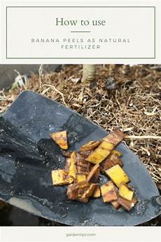 Fertilizer Solution