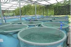 Fertilizer Tanks