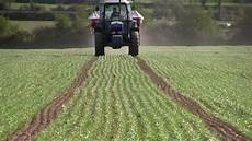 Fertilome Fertilizer