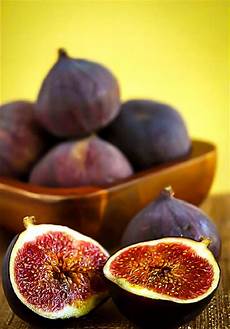 Fig Tree Fertilizer