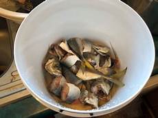 Fish Amino Acid