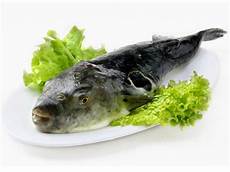 Fish Amino Acid