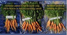 Fish Meal Fertilizer