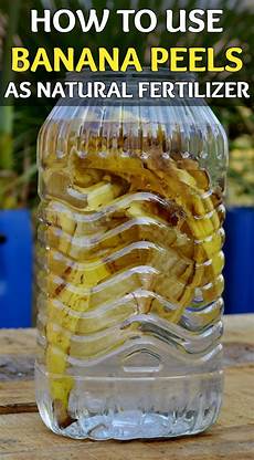 Fruit Fertilizer