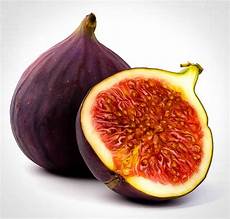Fruit Tree Fertilizer