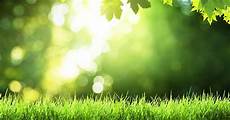 Garden Fertilizer