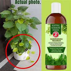 Gel Organic Fertilizer