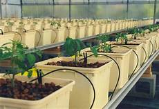 General Hydroponics Nutrients