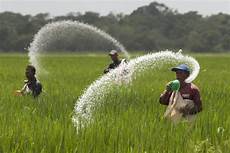 Granular Fertilizers