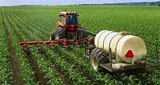 Granule Fertilizer