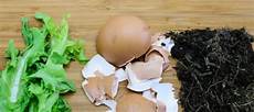 Homemade Nitrogen Fertilizer