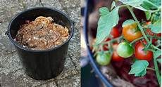 Homemade Phosphorus Fertilizer