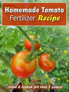 Homemade Tomato Fertilizer