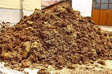 Horse Manure Compost