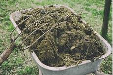 Horse Manure Compost