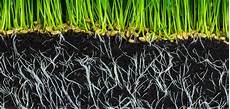 Humic Acid Fertilizer