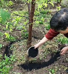 Humic Acid Fertilizers