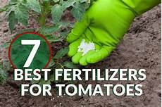 Humic Acid Fertilizers