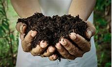 Humus Fertilizer