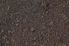 Humus Fertilizer