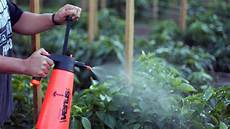 Hydroponic Fertilizer