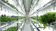 Hydroponic Fertilizer