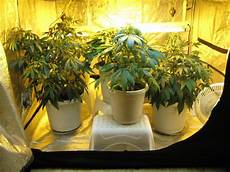 Hydroponic Fertilizer