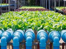 Hydroponic Liquid Fertilizer
