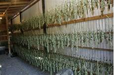 Hydroponic Nutrients