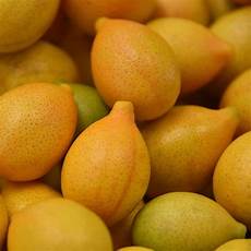 Lime Tree Fertilizer