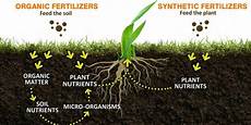 Liquid Chemical Fertilizers