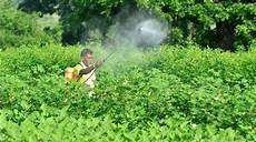 Liquid Chemical Fertilizers