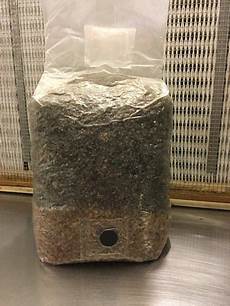Liquid Compost