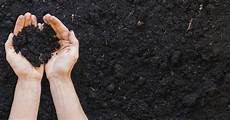 Liquid Dirt Fertilizer