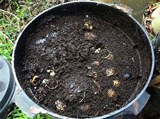 Liquid Dirt Fertilizer
