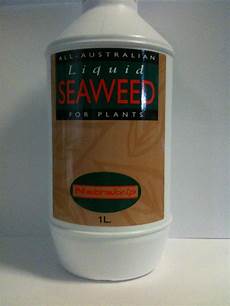 Liquid Kelp