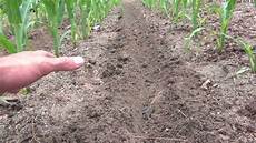Liquid Nitrogen Fertilizer