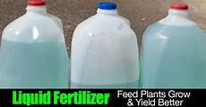 Liquid Organic Fertilizer